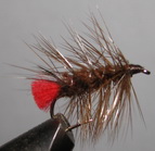����  Red tag  RTG 05 plm brown � 8